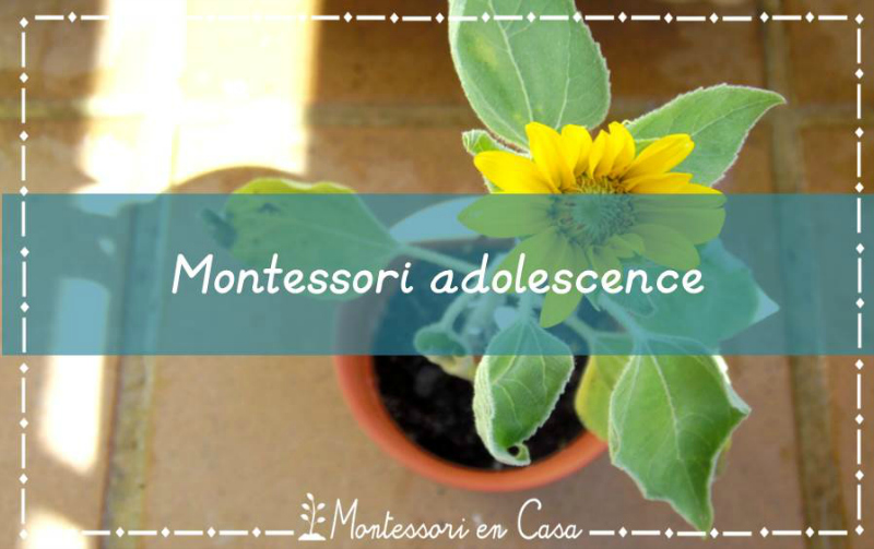 Montessori adolescence