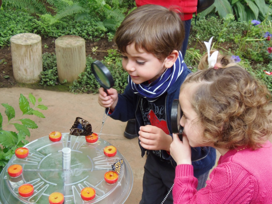 Mariposas - Montessori en Casa