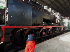 Montessori en Casa - Museo del Ferrocarril