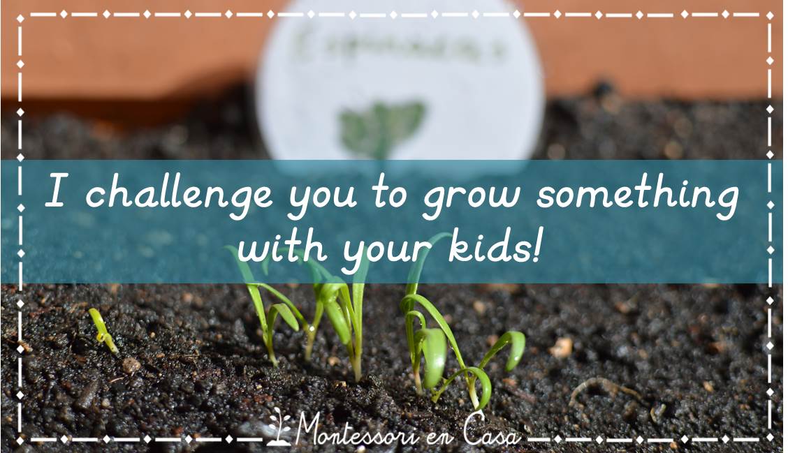 chanllenge grow somethingh kids