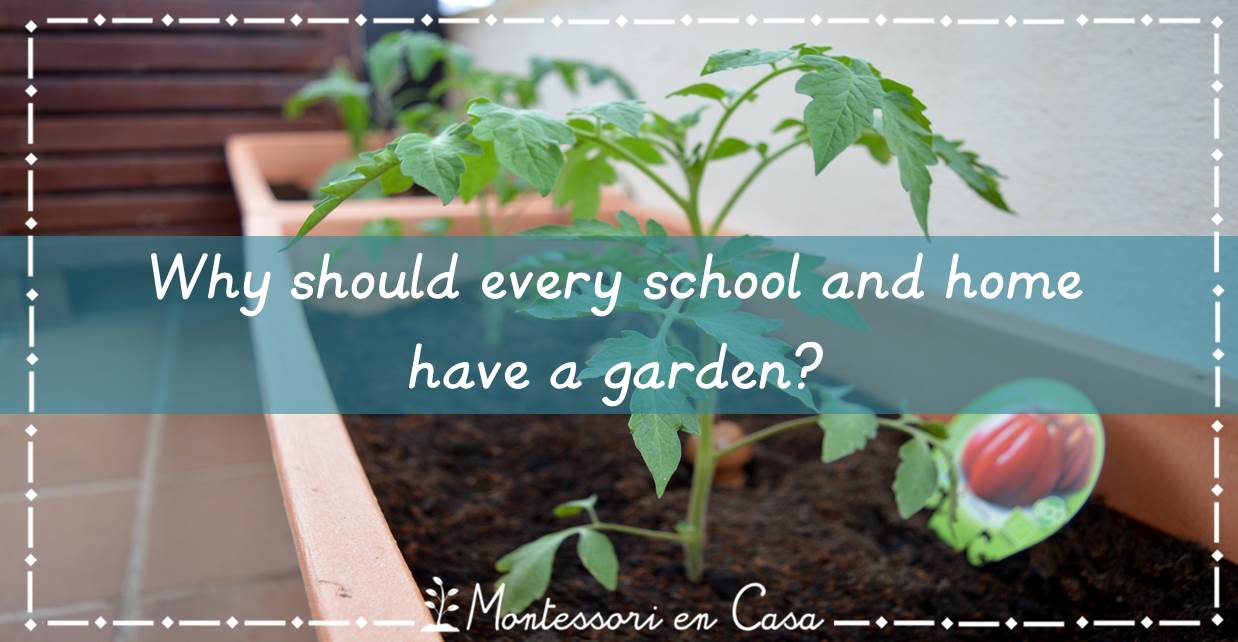 school and home garden