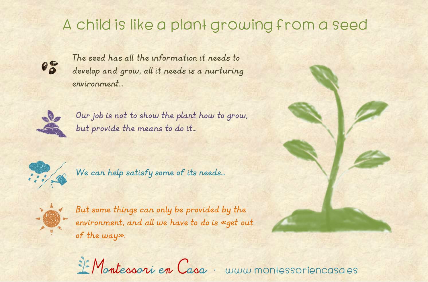Child plant Montessori