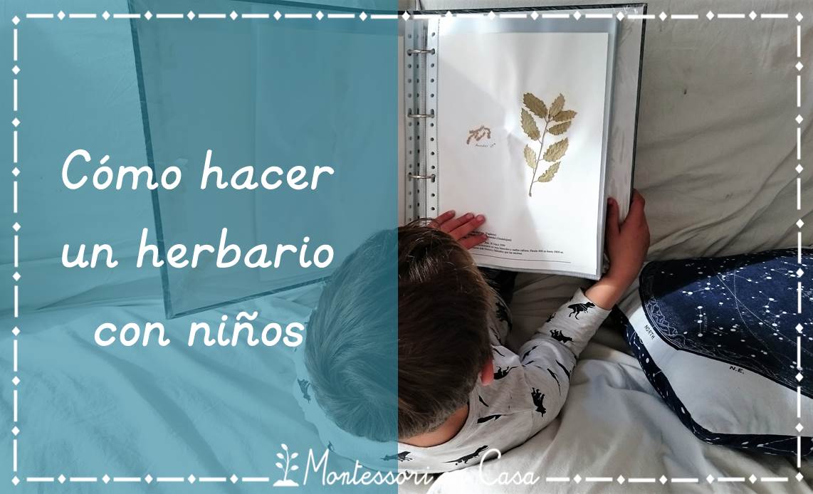 Cómo hacer un herbario con niños - Making a herbarium with kids •  Montessori en Casa